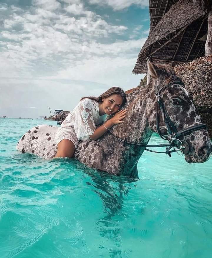 Zanzibar Tours