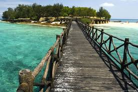 Snorkeling in Clear Waters